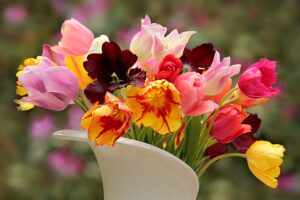 nature-3434165_1920