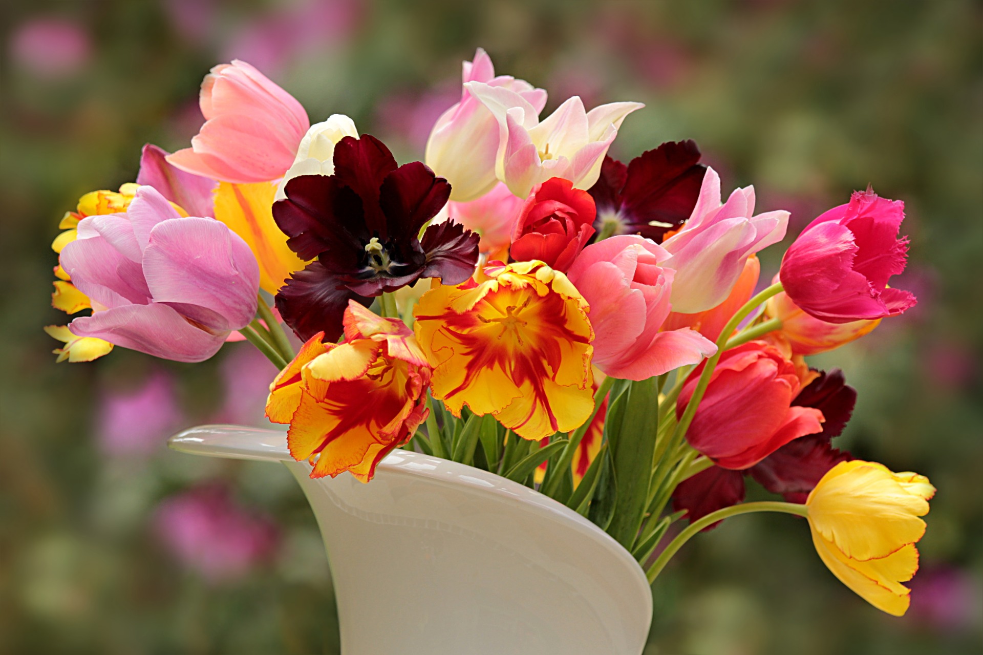 nature-3434165_1920